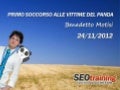 Google Panda soccorso - SEO Training Parma - 24 Novembre 2012