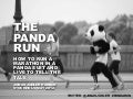 Pandarun - updated