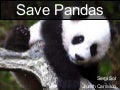 Pandas