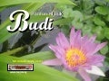 Pantun Budi