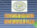 Para concejo de gobierno