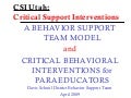Criticual Support Interventions
