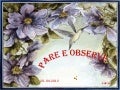 Pare e observe