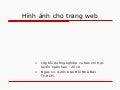 Slide: Hình ảnh cho trang web
