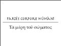 Partes corporis humani latine et graece
