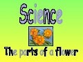 Parts Of A Flower