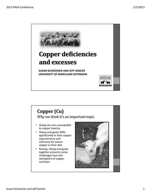 Copper