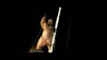 CoRDeS D'ACieR- VideoSONG @ oui fm, inrocks, nrj, skyrock, rtl2, virgin radio, mouv'