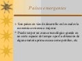PaíSes Emergentes
