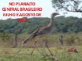 PASSEIO NO PARAÍSO