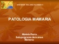 Patolog