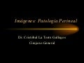 Patología Perineal en Imágenes