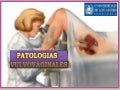 Patologias de vulva