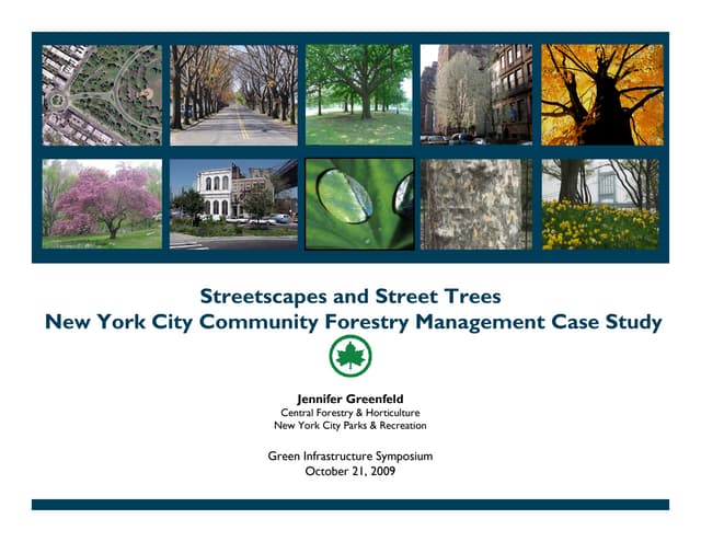 Street Trees and Streetscapes