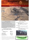 Pcy coal fac sheet
