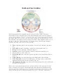 PDC project guidelines