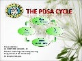PDSA Cycle