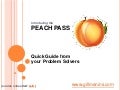 Atlanta's Peach Pass at a glance