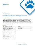 Peer Code Revew: An Agile Process