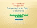 Pellegrinaggio zanellato 2012 2013
