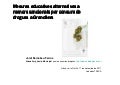 Mesures educatives alternatives per a menors sancionats per consum de drogues a Granollers