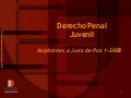 ENJ-100 Derecho Penal Juvenil