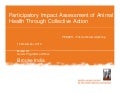 Participatory impact assessment of animal health through collective action