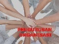 Pengurusan organisasi 