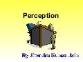 Perception Jithu