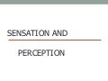 Perception and sensation