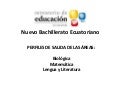 Perfiles Nuevo Bachillerato