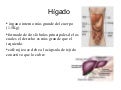 Perfil metabolico