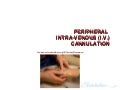 Peripheral Iv Cannulation