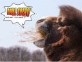 Perl Sucks - and what to do about it