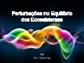 Perturbações no equilíbrio dos ecossistemas