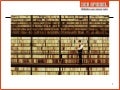 Der Spiegel, fact checking - IJF11 Perugia