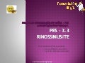 PES 3.3 Rinossinusite