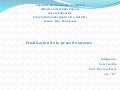 12 Pesca de arrastre briant