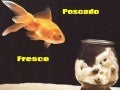 Pescado fresco