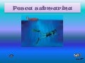 Pesca submarina