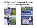 PETA/Last Chance For Animals protest