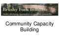 Peter hille.community capacity.panel.