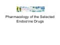 NurseReview.Org Pharmacology  Endocrine Drugs