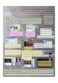 Poster for p-Health 2009 Patient 2.0: the new paradigm shift
