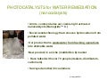 Photocatalysts final presentation
