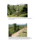 Photos set 1-1 mgb