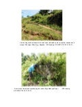 Photos set 3