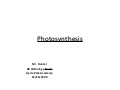 Photosynthesis Notes