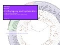 IB Biology Option D.5: Phylogeny and systematics