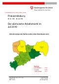 PI-025_AMB_07_2010.pdf